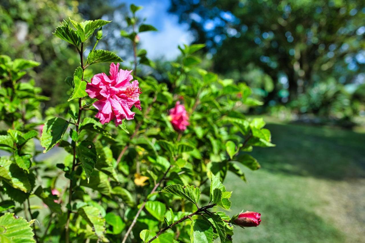 Hotel Villa Zurqui San Isidro  ภายนอก รูปภาพ