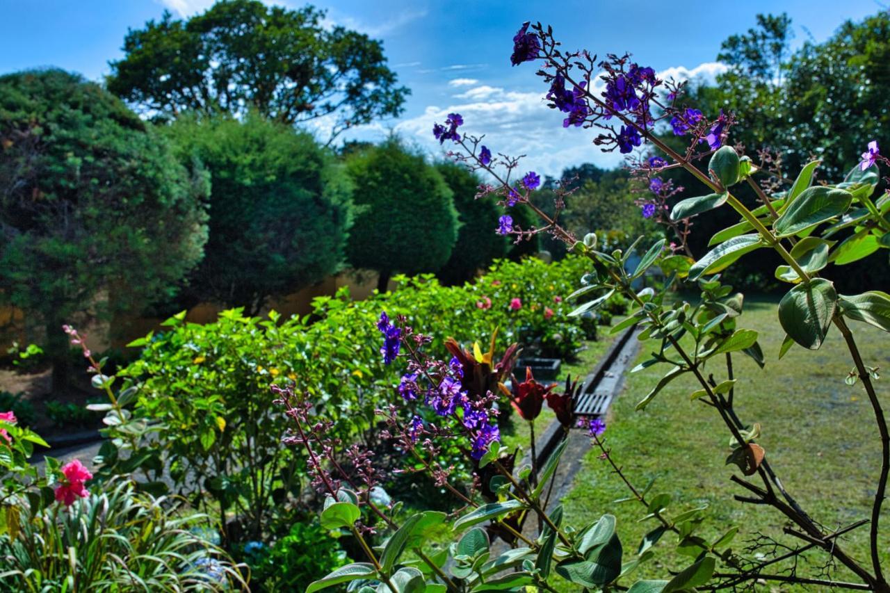 Hotel Villa Zurqui San Isidro  ภายนอก รูปภาพ