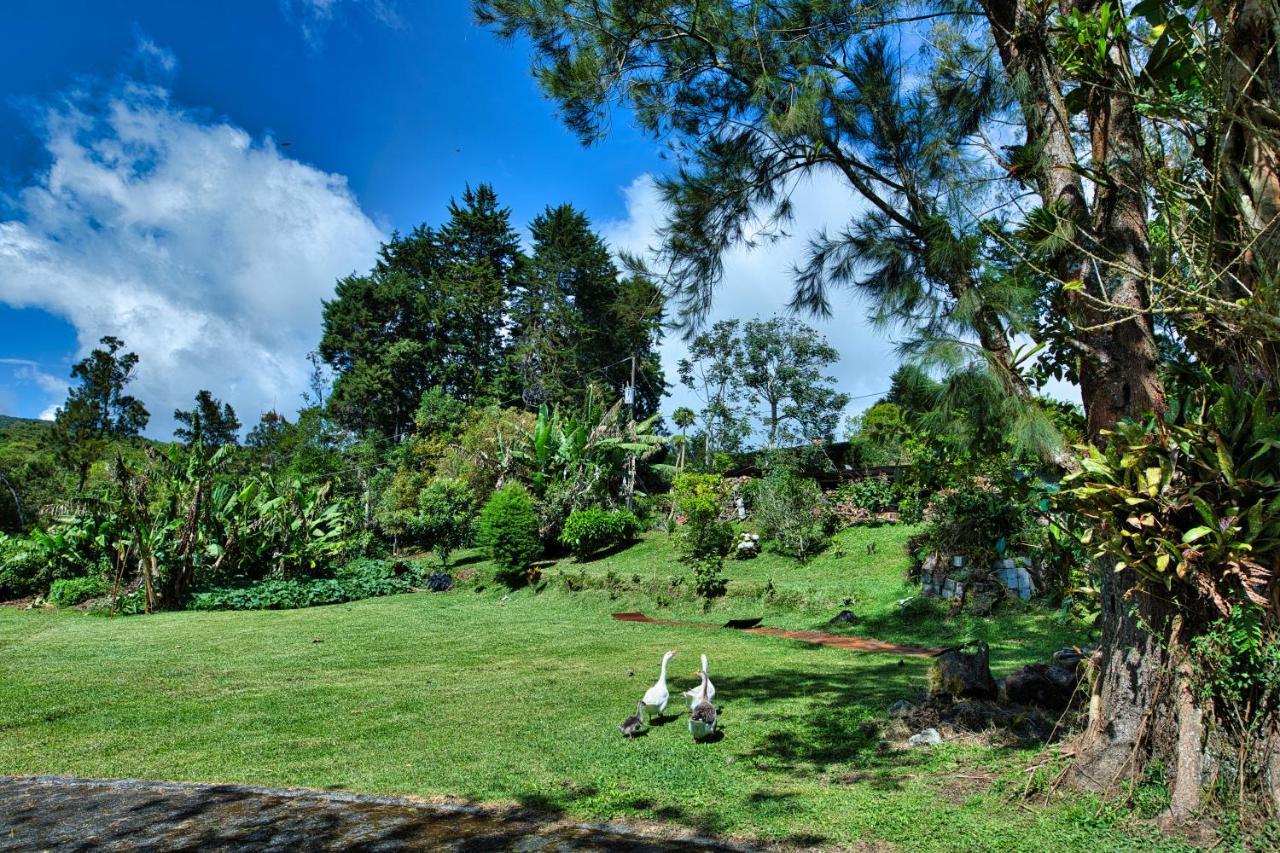 Hotel Villa Zurqui San Isidro  ภายนอก รูปภาพ