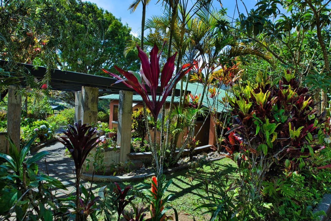 Hotel Villa Zurqui San Isidro  ภายนอก รูปภาพ