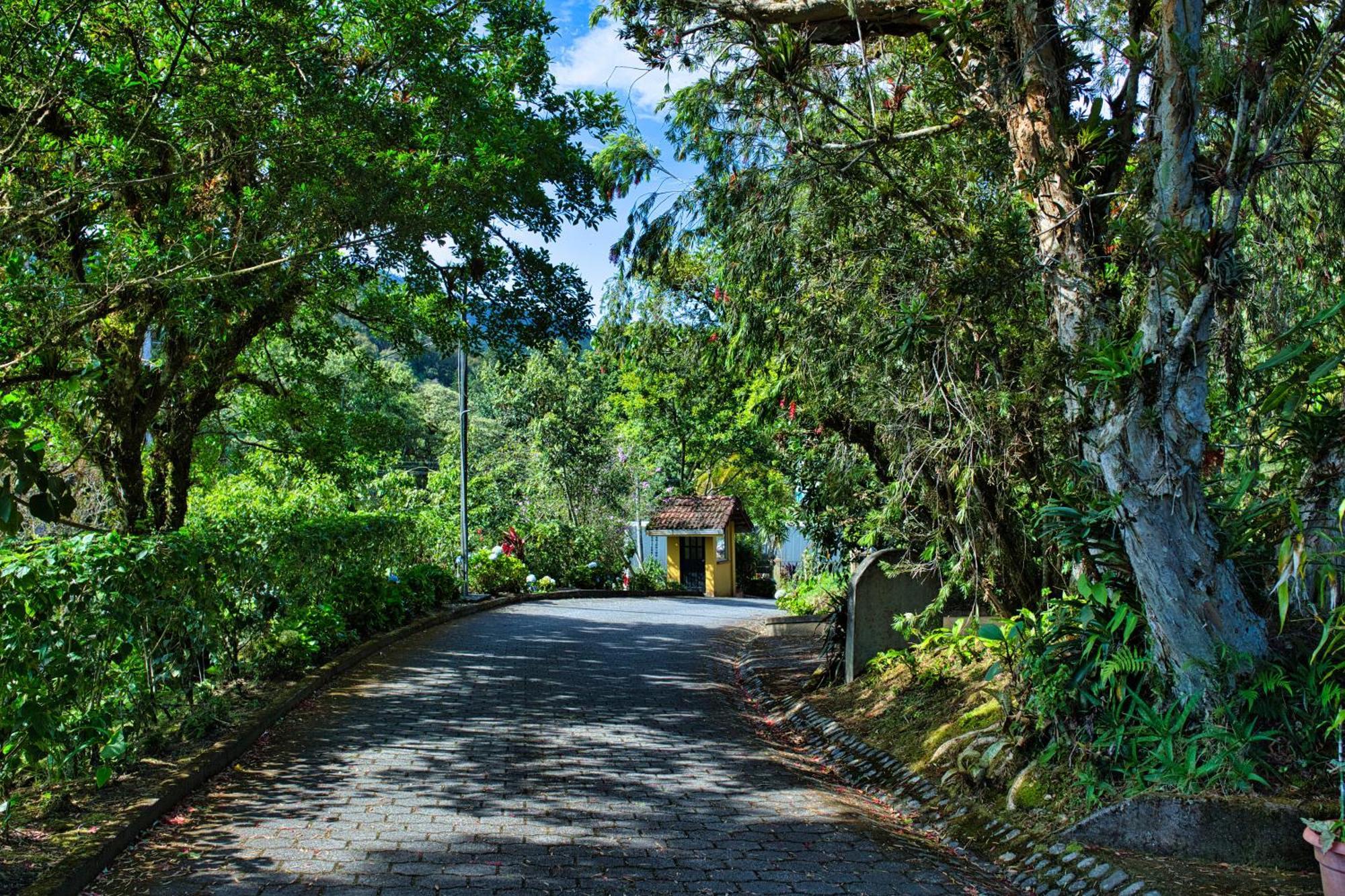 Hotel Villa Zurqui San Isidro  ภายนอก รูปภาพ