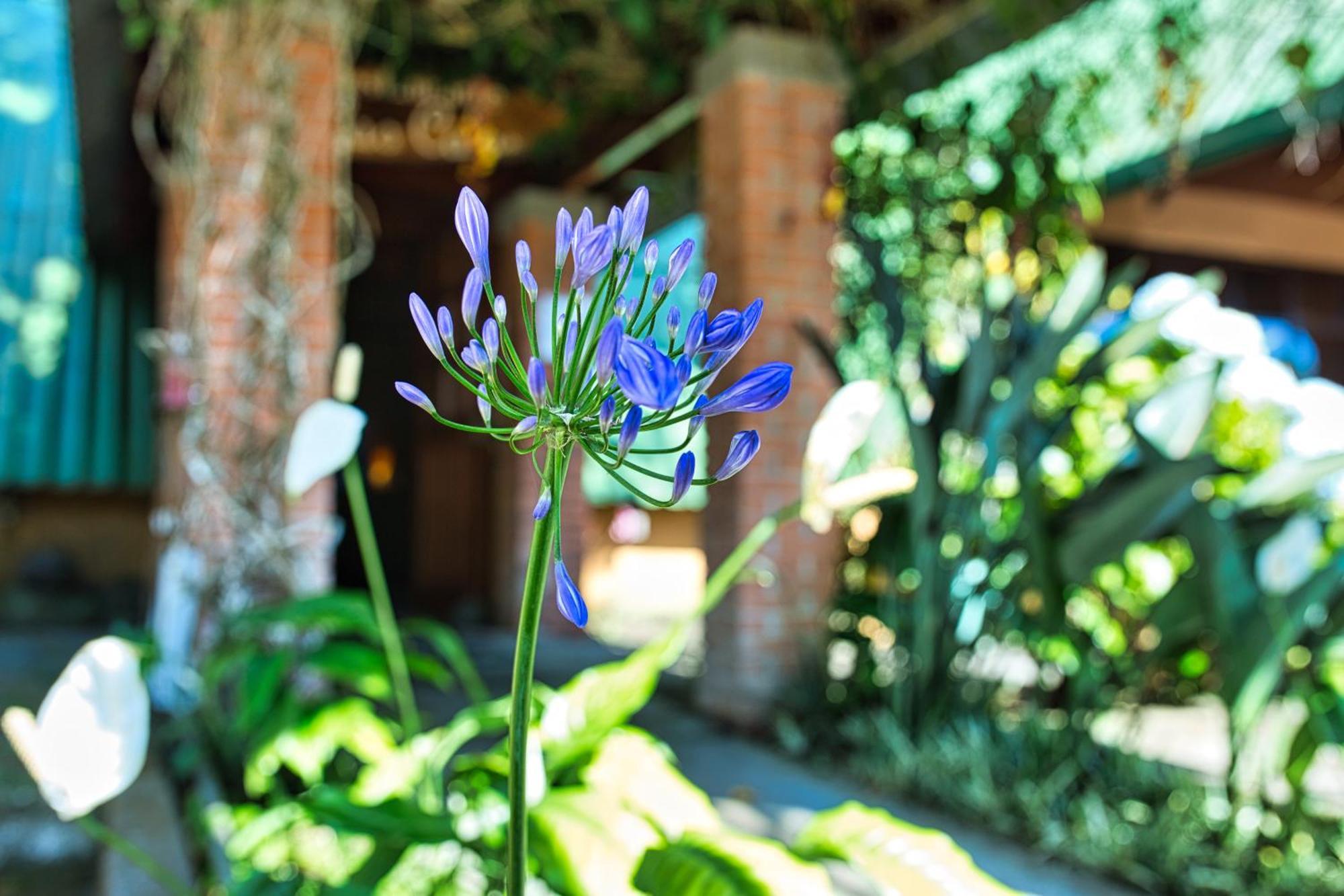 Hotel Villa Zurqui San Isidro  ภายนอก รูปภาพ